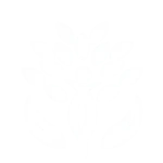 clinic 1724395646 (1)