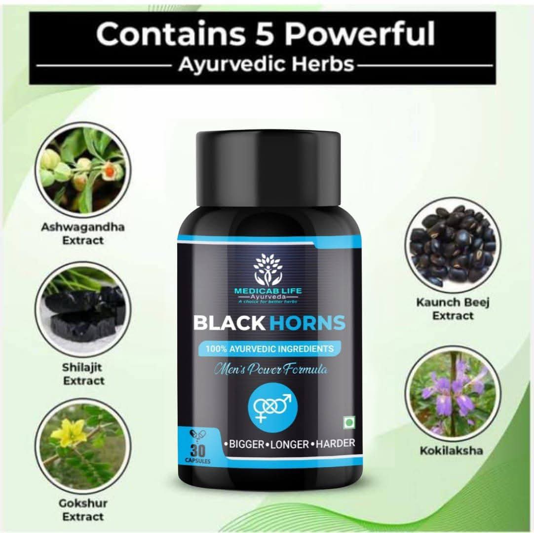 whatsapp image 2025 08 13 at 03.25.00